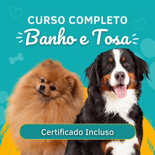 Curso Profissional de Banho e Tosa PET PRO